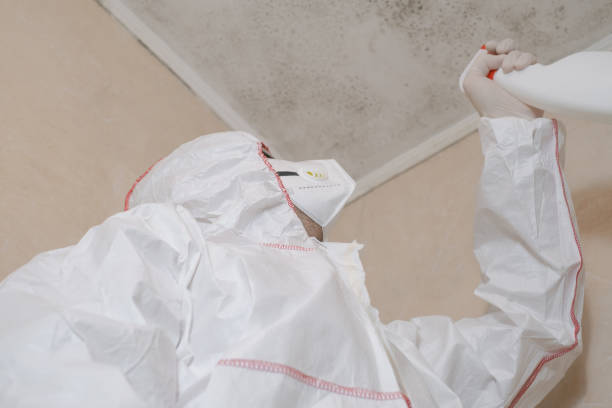 Best Mold Damage Repair  in Glen Allen, VA