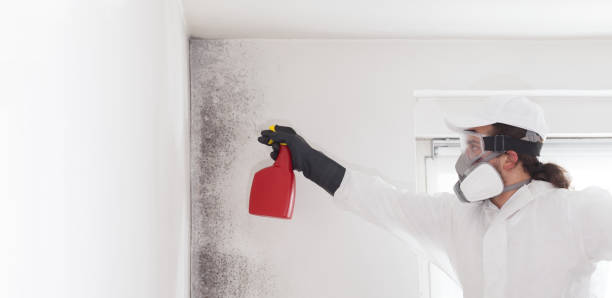 Crawl Space Mold Removal in Glen Allen, VA