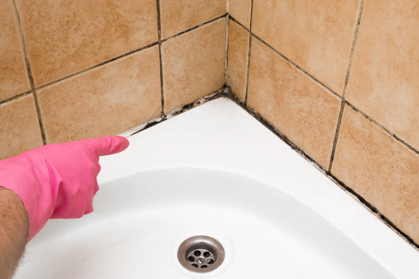 Best Emergency Mold Removal  in Glen Allen, VA